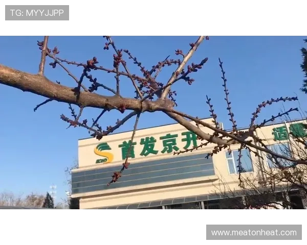 开云集团首页提供的最新产品信息与品牌介绍帮助消费者快速找到心仪的奢华商品与服务 开云集团首页提供的最新产品信息与品牌介绍帮助消费者快速找到心仪的奢华商品与服务