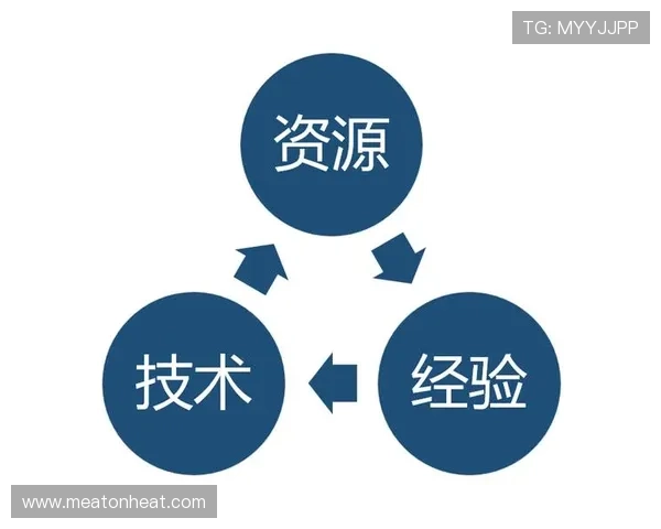 如何根据开云集团旗下品牌排名选择适合自己的游戏产品，实用指南全解析